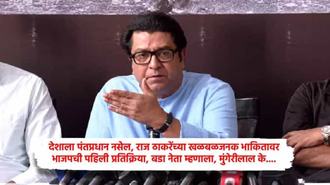 देशाला पंतप्रधान नसेल, राज ठाकरेंच्या खळबळजनक भाकितावर भाजपची पहिली प्रतिक्रिया, बडा नेता म्हणाला, मुंगेरीलाल के....