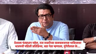 देशाला पंतप्रधान नसेल, राज ठाकरेंच्या खळबळजनक भाकितावर भाजपची पहिली प्रतिक्रिया, बडा नेता म्हणाला, मुंगेरीलाल के….