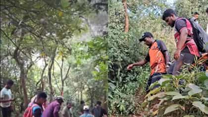 मालकाने घेतला जगाचा निरोप पण शेवटपर्यंत कुत्रा त्याच्यासोबतच, थेट...