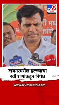 टायगरवरील हल्ल्याचा रवी राणांकडून निषेध-1784168