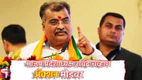 मोठी बातमी, पदवीधरमधील पराभव जिव्हारी, कुणाची विकेट पडणार? रविंद्र चव्हाण ॲक्शन मोडवर