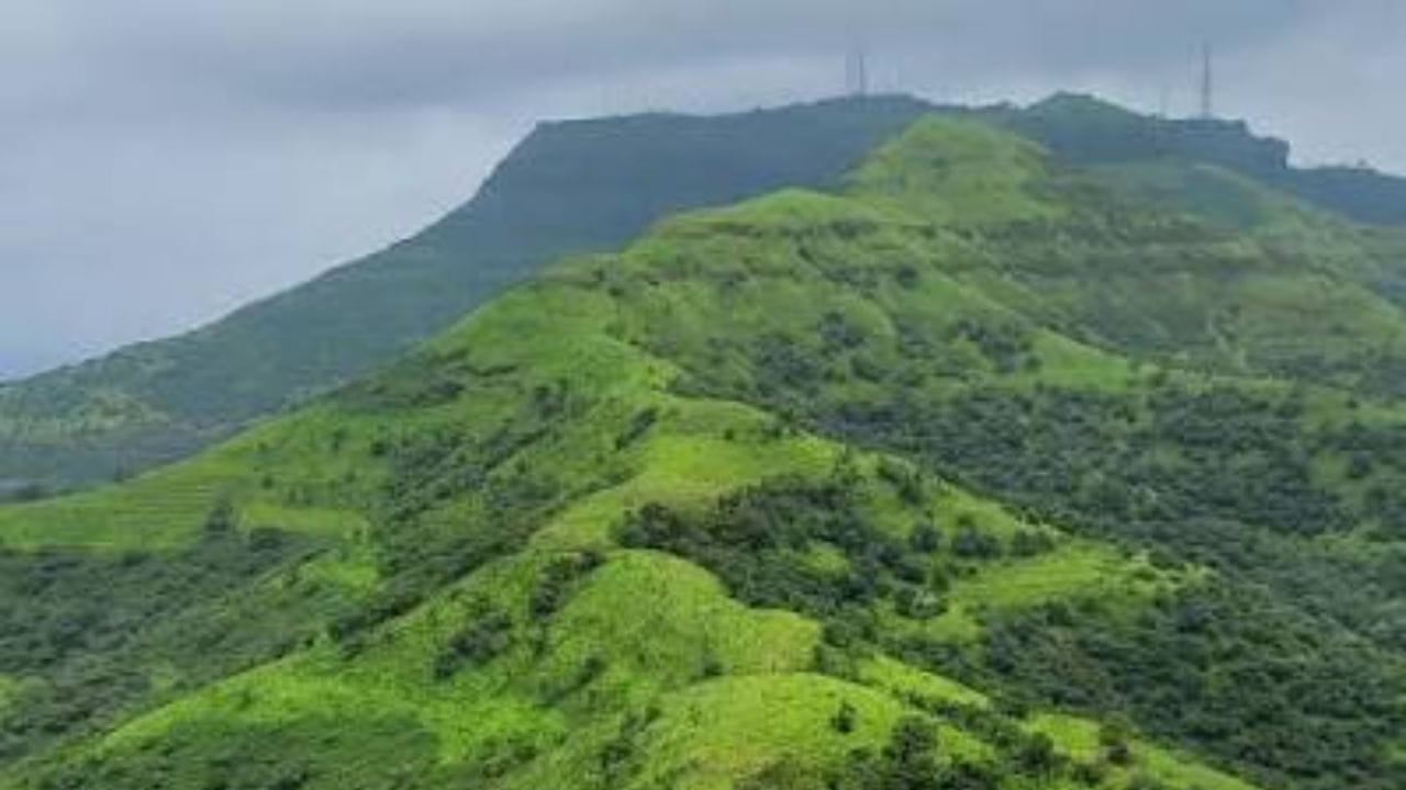 गडावरून दिसतो सह्याद्रीचा सुंदर नजारा :सिंहगडाच्या माथ्यावरून सह्याद्रीच्या पर्वतरांगा आणि हिरव्यागार खोल दऱ्यांच विहंगम दृश्य दिसतं. पावसाळ्यात धुकं,हिरवाई आणि धबधब्यांमुळे परिसरांच सौंदर्य आणखी खुलतं. 