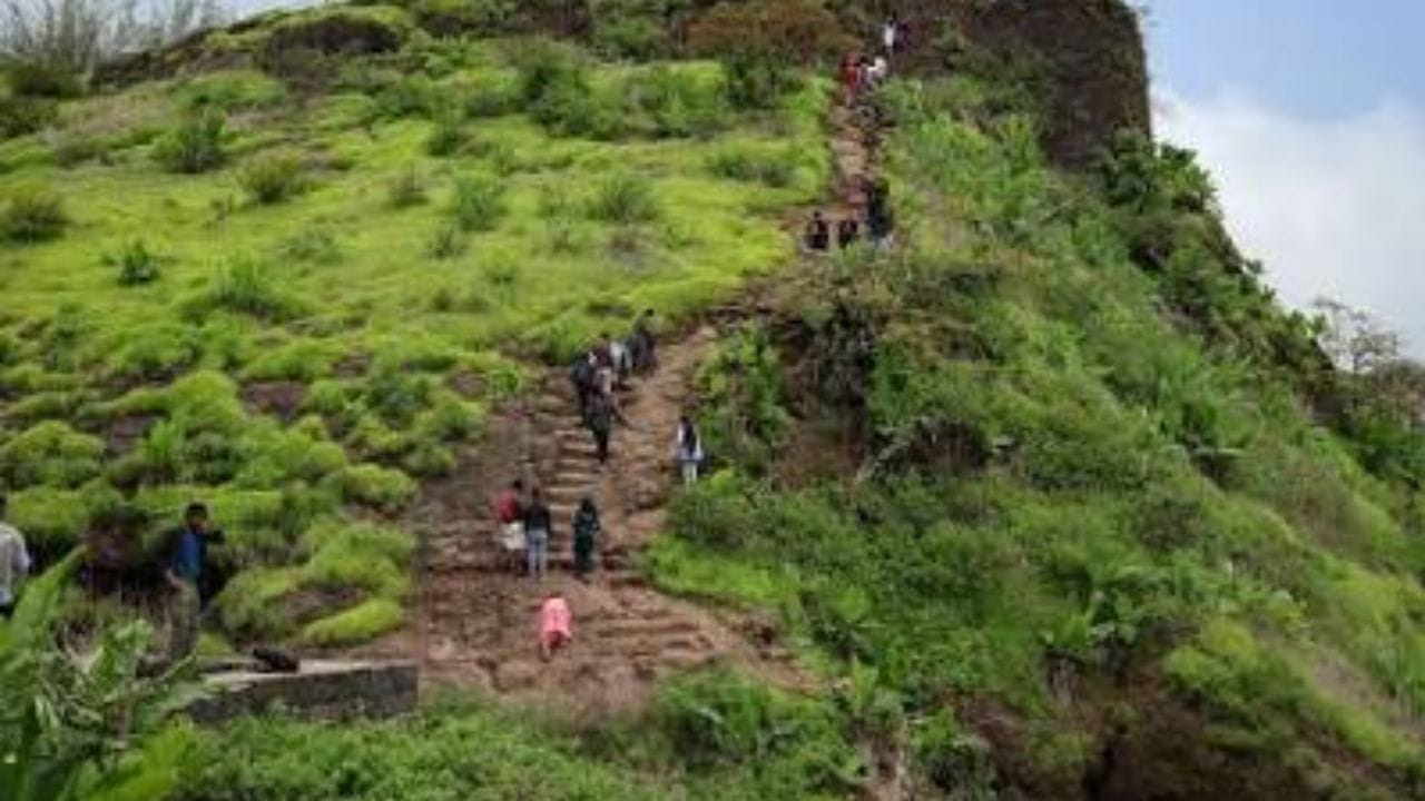 सिंहगडावर ट्रे्किंगचा अनुभव :सिंहगड गावातून जाणार ट्रेक साधारण 2.7 किमीचा आहे. तो पूर्ण करण्यासाठी 1.30 ते 2 तास लागू शकतात. कल्याण दरवाज्याचा मार्ग अधिक कठीण आहे. ट्रेकिंगची आवड असणाऱ्यांसाठी हे ठिकाण खास आहे.