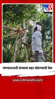 पाण्याअभावी संत्र्याचा बहर तोडण्याची वेळ-1785043