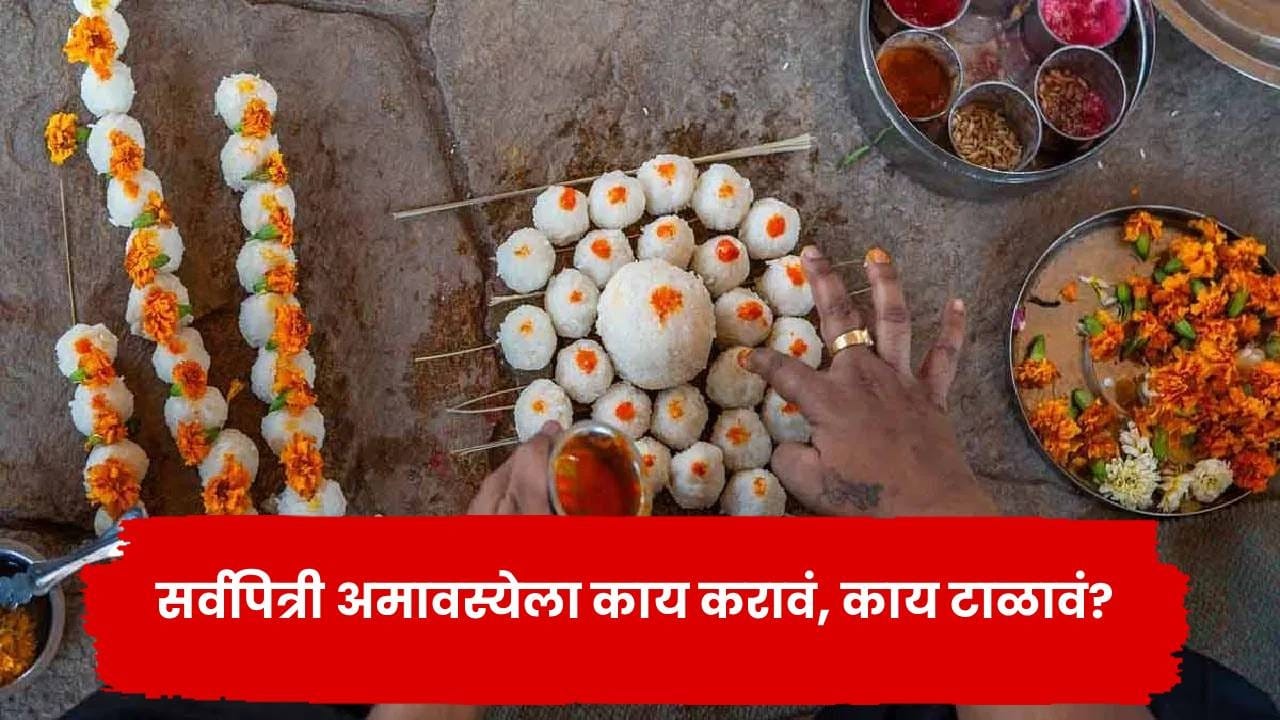 सर्वपित्री अमावस्येला काय करावं, काय टाळावं? जाणून घ्या श्राद्धाचे महत्त्वाचे नियम सर्वपित्री अमावस्येला काय करावं, काय टाळावं? जाणून घ्या श्राद्धाचे महत्त्वाचे नियम