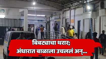 वीज गेली, बिबट्यानं अंधाराचा फायदा घेतला अन्...; दोन वर्षांच्या चिमुरड्याचा नाहक बळी गेला