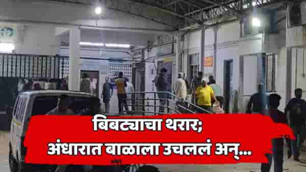 वीज गेली, बिबट्यानं अंधाराचा फायदा घेतला अन्...; दोन वर्षांच्या चिमुरड्याचा नाहक बळी गेला