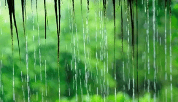 सध्या राज्यावर दुष्काळाचं सावट आहे. सरकारने बहुसंख्य जिल्ह्यात दुष्काळ जाहीर केलाय. शेतकऱ्यांच्या हातातून खरिपाचा हंगाम गेलाय. दरम्यान, आता रबी हंगामात पाऊस यावा, अशी आशा बाळगली जात आहे.