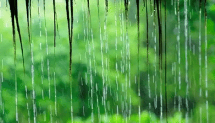 सध्या राज्यावर दुष्काळाचं सावट आहे. सरकारने बहुसंख्य जिल्ह्यात दुष्काळ जाहीर केलाय. शेतकऱ्यांच्या हातातून खरिपाचा हंगाम गेलाय. दरम्यान, आता रबी हंगामात पाऊस यावा, अशी आशा बाळगली जात आहे.