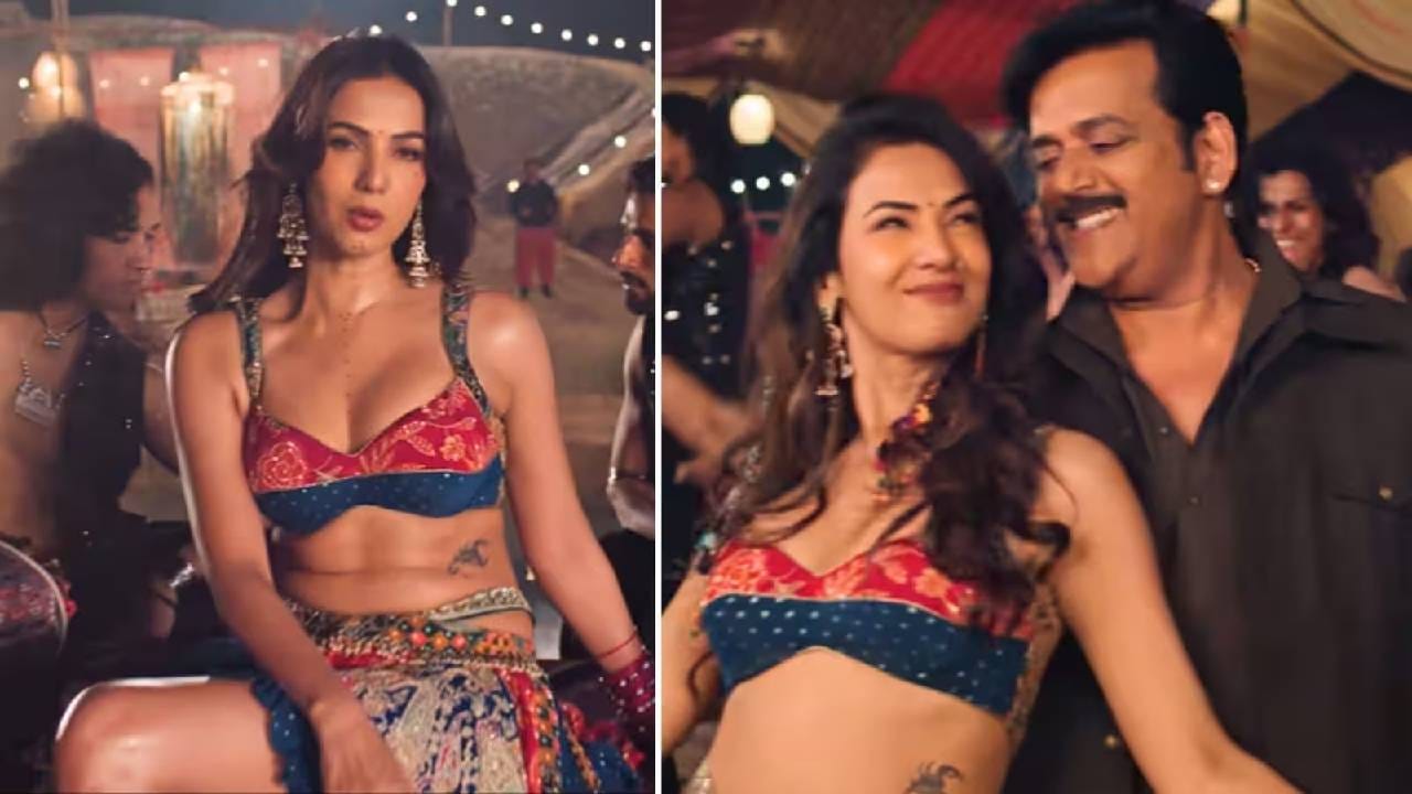 एका पॉडकास्टमध्ये सोनलला विवाहित अभिनेत्यांसोबत रोमँटिक सीन करण्याबाबत प्रश्न विचारण्यात आला. अनेकदा इंटिमेट सीन शूट करताना अभिनेत्यांचा स्वत:वरचा ताबा सुटतो. अशा वेळी असुरक्षित वाटते का? असा प्रश्न विचारण्यात आला होता. त्यावेळी अभिनेत्रीने दिलेल्या उत्तराने अनेकांच्या भुवया उंचावल्या आहेत.