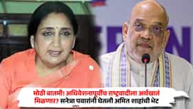 मोठी बातमी! अधिवेशनापूर्वीच राष्ट्रवादीला अर्थखातं मिळणार? सुनेत्रा पवारांनी घेतली अमित शाहांची भेट, नेमकं काय घडलं?