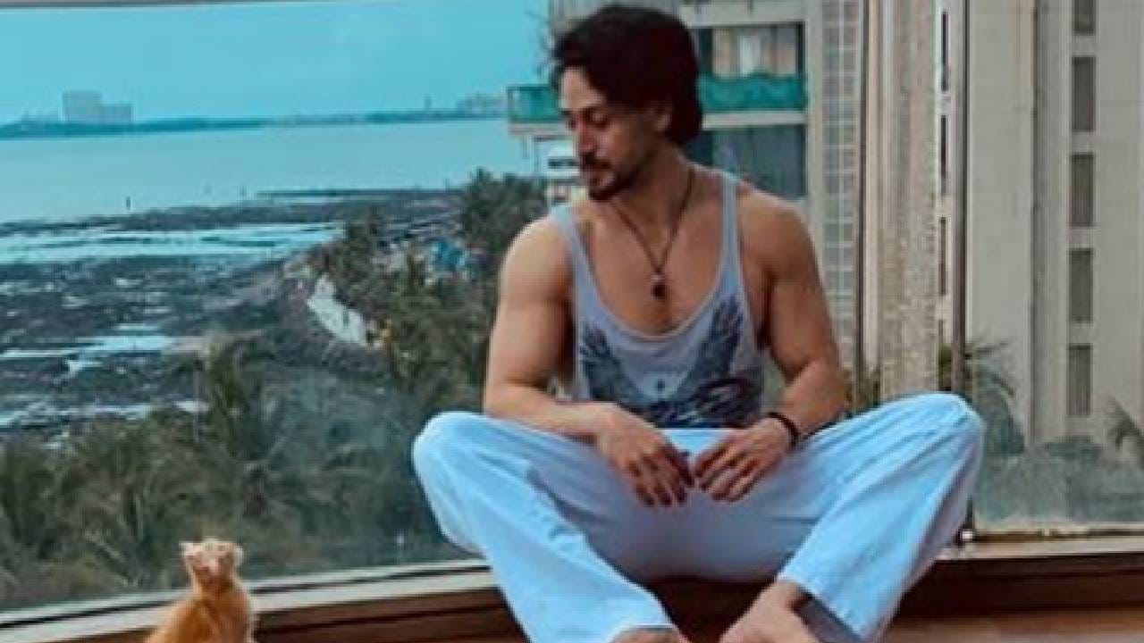 टायगरला महागड्या घड्याळांची प्रचंड आवड आहे. तो वेगवेगळ्या प्रसंगी स्टायलिश आणि लग्जरी घड्याळ वापरतो. त्याच्या वॉच कलेक्शनमध्ये कॅसियो जी-शॉक, एम्पोरियो अरमानीची ब्लॅक एनालॉग आणि क्रोनोग्राफ घड्याळ आणि ऑडेमार्स पिगे रॉयल ओक आदी मॉडल आहेत. या घड्याळांचं डिझाइन त्याच्या स्पोर्ट्स अंदाजासोबतच त्याची रॉयल आणि क्लासी स्टाईल दाखवते.