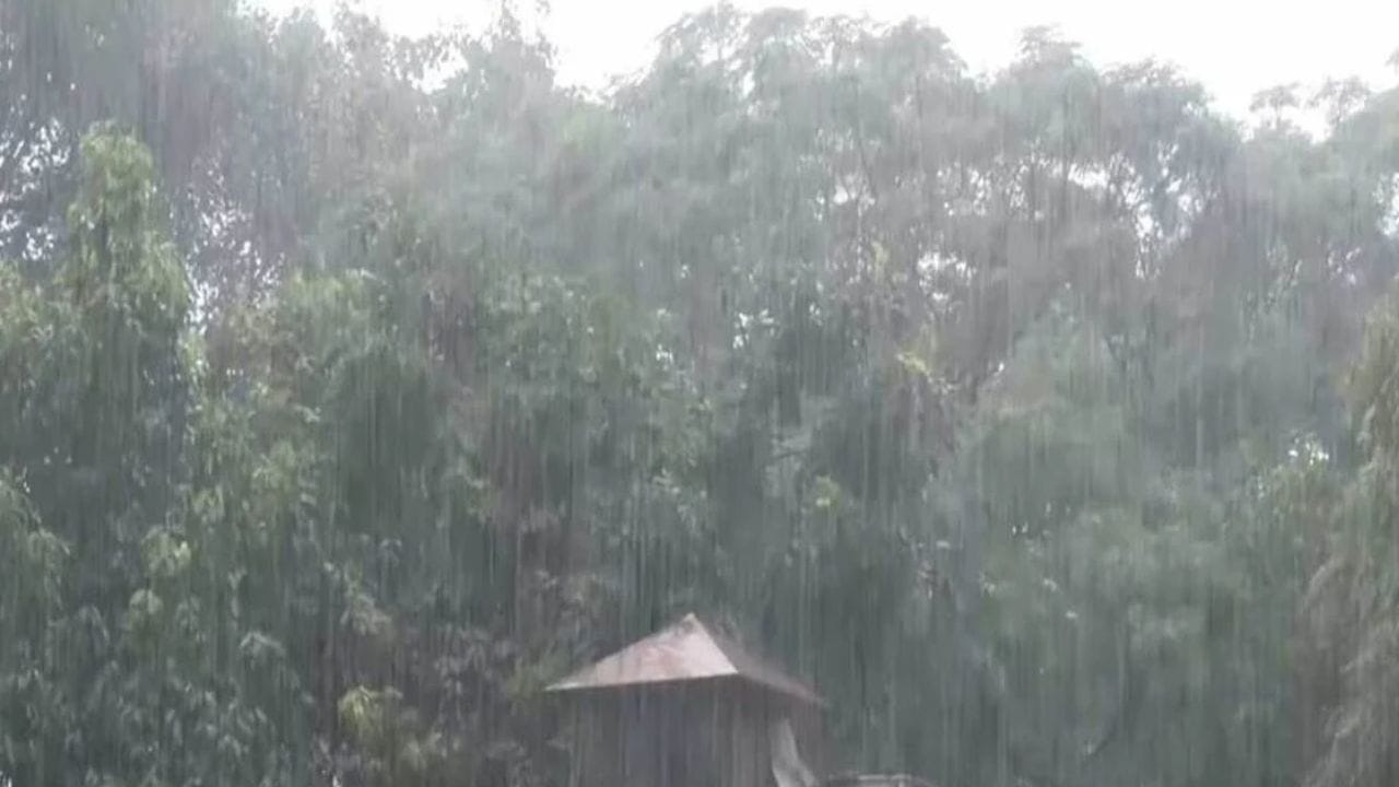 त्यातच पुन्हा पावसाचा मोठा इशारा हवामान विभागाने दिला. आज 19 ऑक्टोबर 2026 रोजी कोकण, पश्चिम महाराष्ट्र, मराठवाडा आणि पूर्व विदेर्भात पावसाची शक्यता आहे.