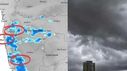 राज्यातील या जिल्ह्यात धो धो पाऊस, वार फिरलं, हवामान विभागाचा मोठा...