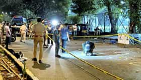 महाराष्ट्रात राष्ट्रपती राजवट लावा, टायगरवर हल्ला होताच बड्या नेत्याची थेट राज्यपालांकडे मागणी