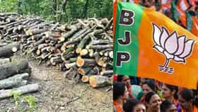 भाजपाचा बडा नेता बोलला वृक्षतोड थांबवा, थेट कर्जत भीमाशंकर..