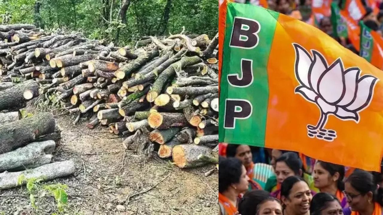 भाजपाचा बडा नेता बोलला वृक्षतोड थांबवा, थेट कर्जत भीमाशंकर.. भाजपाचा बडा नेता बोलला वृक्षतोड थांबवा, थेट कर्जत भीमाशंकर..
