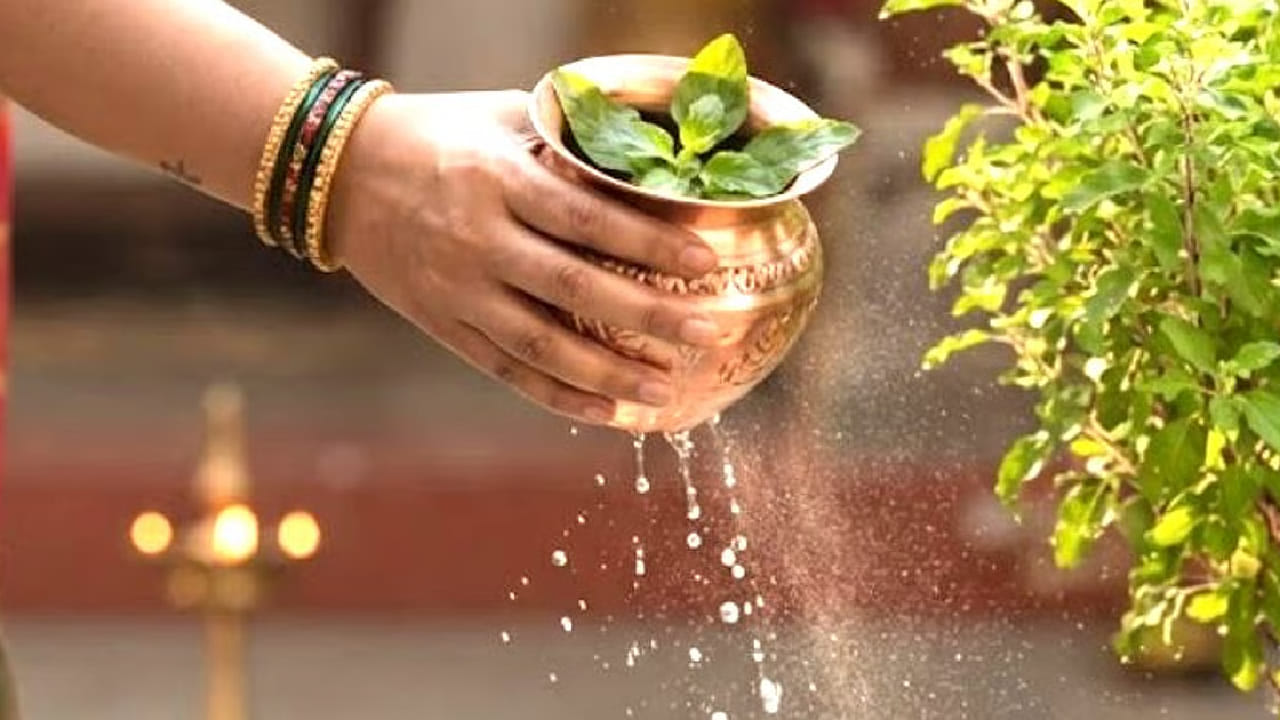 धार्मिक मान्यतेनुसार, आर्थिक अडचणी दूर व्हाव्यात आणि घरात सुख-समृद्धी नांदावी, यासाठी तुळशीला पाणी अर्पण करताना विशेष मंत्राचा जप केला जातो. तो म्हणजे ‘महाप्रसाद जननी, सर्व सौभाग्यवर्धिनी। आधि व्याधि हरा नित्यं, तुलसी त्वं नमोस्तुते॥’