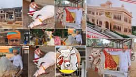 गायीसाठी 1 कोटीचा लग्जरी बंगला, 24 लाखाचे दागिने; या गायीचा तोराच भारी!