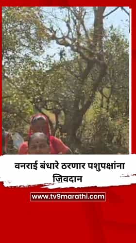 वनराई बंधारे ठरणार पशुपक्षांना जिवदान
