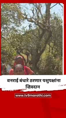 वनराई बंधारे ठरणार पशुपक्षांना जिवदान-1792318