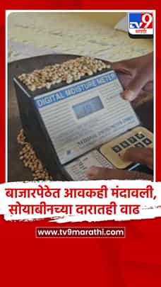 दुष्काळाचे सावट: बीडमध्ये मूग उडीद आणि तुरीचे भाव झाले दुप्पट-1772819