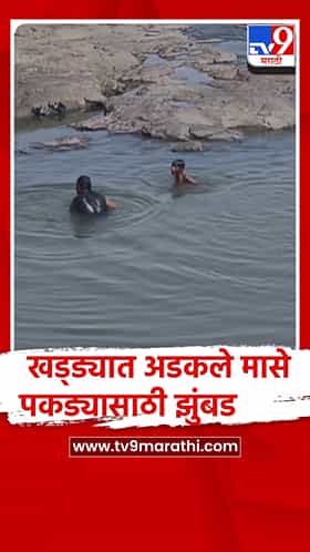 नाशिक-निफाड- नांदूर मधमेश्वर धरणातून विसर्गानंतर मासे पकड्यासाठी झुंबड
