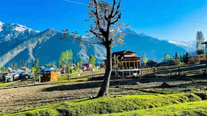भारतामधील असं एक गाव, जिथे परदेशी महिला फक्त गर्भधारणेसाठीच येतात.