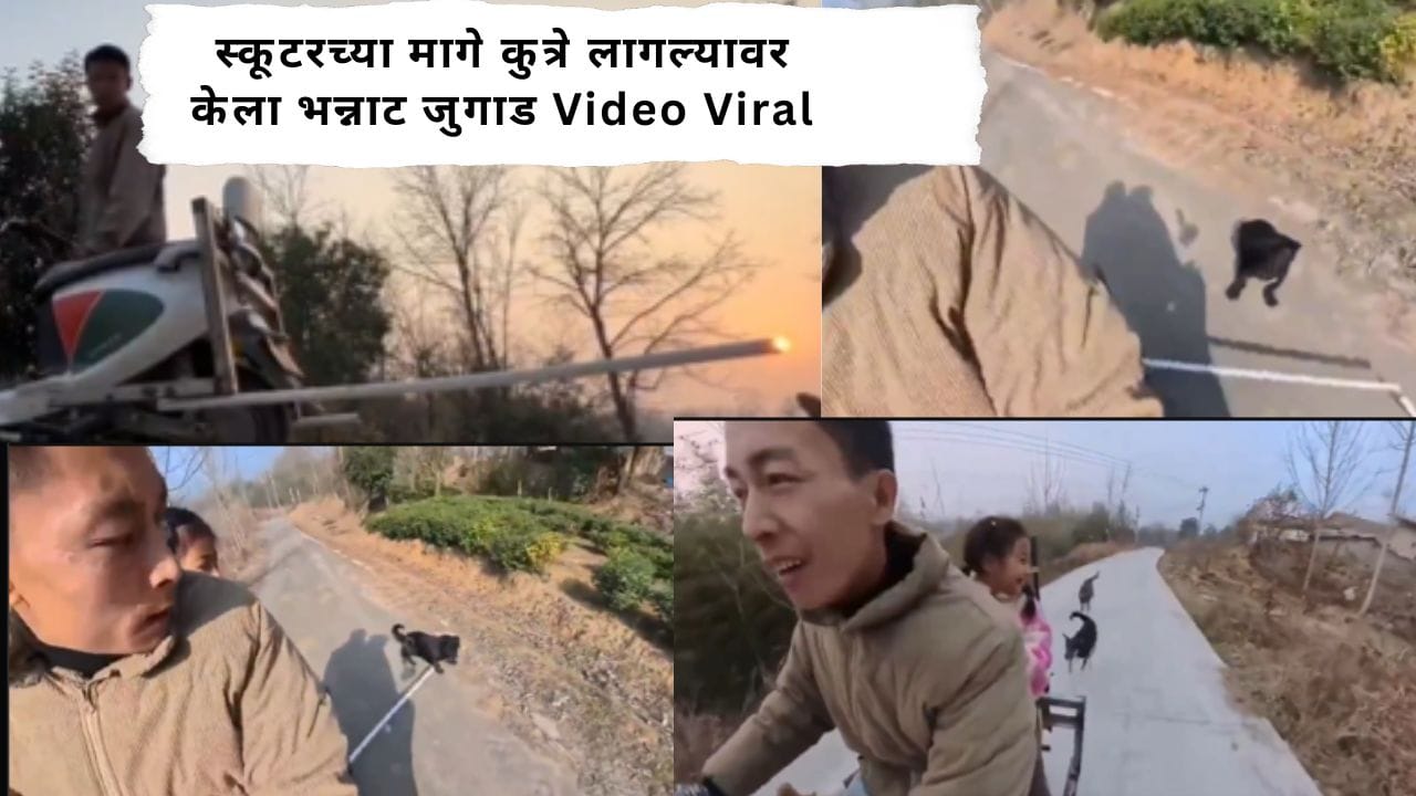 Viral Video : स्कूटरच्या मागे कुत्रे लागल्यावर केलं असं काही; VIDEO पाहून भारतीय म्हणाले, ‘हा जुगाड भारतासाठीच!’ Viral Video : स्कूटरच्या मागे कुत्रे लागल्यावर केलं असं काही; VIDEO पाहून भारतीय म्हणाले, ‘हा जुगाड भारतासाठीच!’