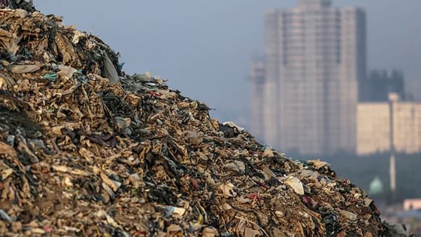 Garbage Disposal: तुम्ही कचरा वेगळा करता, पण पुढे त्याचं होतं काय? हिरव्या-निळ्या डब्यांमागचं वास्तव!