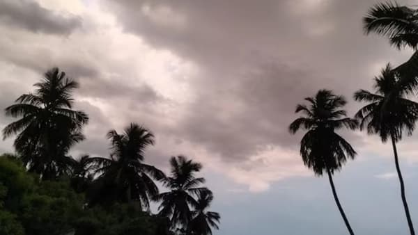 राज्यात मागील काही दिवसांपासून हवामानात सतत बदल होताना दिसत आहे. त्यातच हवामान विभागाने मोठा इशारा दिला. राज्यात काही भागात पाऊस होईल.