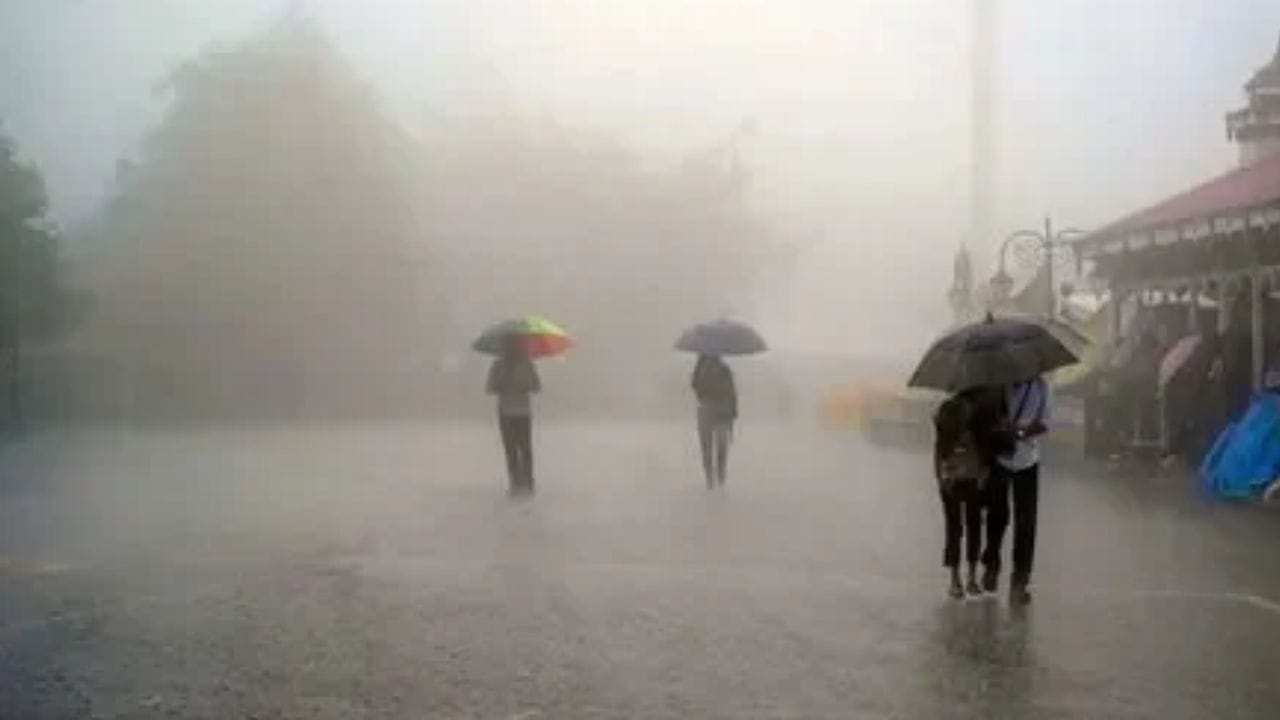 पालघर, ठाणे आणि मुंबईमध्ये हवामान कोरडे राहण्याचा अंदाज आहे. या भागाता पाऊस होणार नाही. कोल्हापूर आणि सातारा घाटमाथावर विजांच्या कडकडाटासह पाऊस होईल.