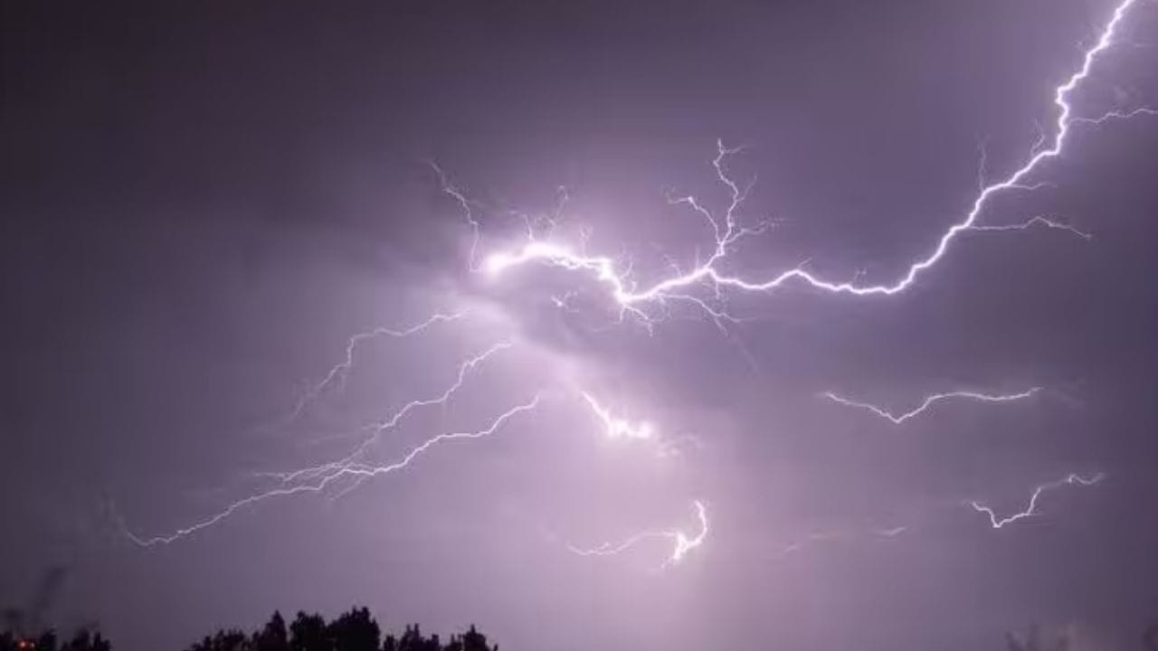 यासोबतच सोलापूर, धाराशिव, लातूर, नांदेड, हिंगोली, सातारा, रत्नागिरी, सिंधुदुर्ग या जिल्ह्यांमध्ये वादळी वाऱ्यासह जोरदार पाऊस होण्याची शक्यता आहे. हलक्या ते मध्यम स्वरूपाचा पाऊस होईल.