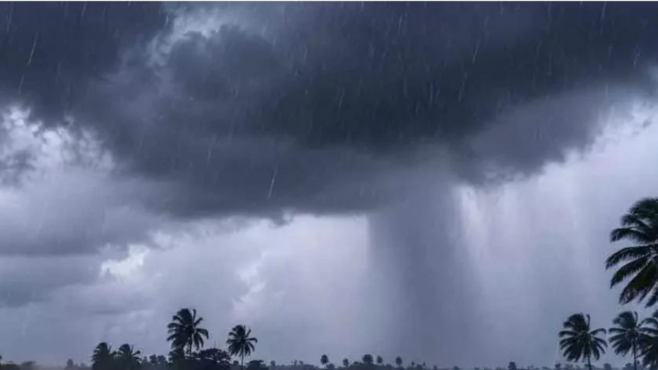 मराठवाड्यातील जवळपास जिल्ह्यात आज हवामान कोरडे राहण्याची शक्यता आहे. यासोबतच उष्णता वाढण्याचीही शक्यता आहे.