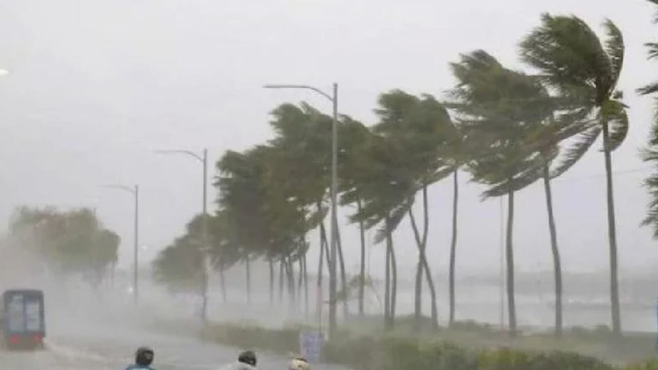 या चक्रीवादळाचा राज्याला थेट धोका नसला तरीही अनेक भागात मुसळधार पाऊस कोसळेल, तसा अंदाज आहे. परभणी, बीड, हिंगोली, नांदेड, लातूर, धाराशिव, जालना, छत्रपती संभाजीनगर या जिल्ह्यात आज वातावरण कोरडे राहण्याची शक्यता आहे.