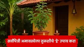 सर्वपित्री अमावस्येला करा तुळशीचे हे उपाय, मिळेल पितरांचे आशीर्वाद आणि भगवान विष्णूंची कृपा