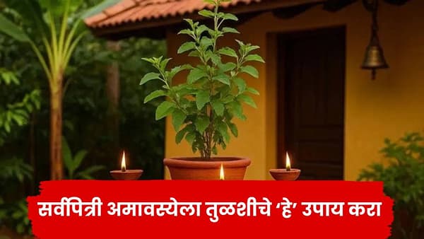 सर्वपित्री अमावस्येला करा तुळशीचे हे उपाय, मिळेल पितरांचे आशीर्वाद आणि भगवान विष्णूंची कृपा
