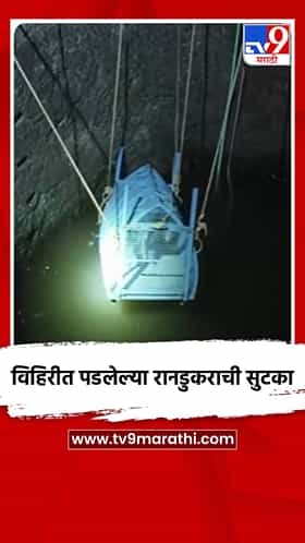 विहिरीत पडलेल्या रानडुकराची सुटका