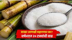 Sugar Price : आता दिवाळीतही साखर महागणार, शेअर्सही सुस्साट झाल्यानंतर दिलासा की खिशाला झळ?