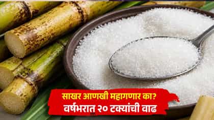 आता दिवाळीतही साखर महागणार, शेअर्सही सुस्साट झाल्यानंतर दिलासा की....