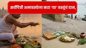 सर्वपित्री अमावस्येला करा ‘या’ ५ वस्तूंचं दान, पितरांची कृपा अन् सुख-समृद्धीचे मार्ग होतात खुले!