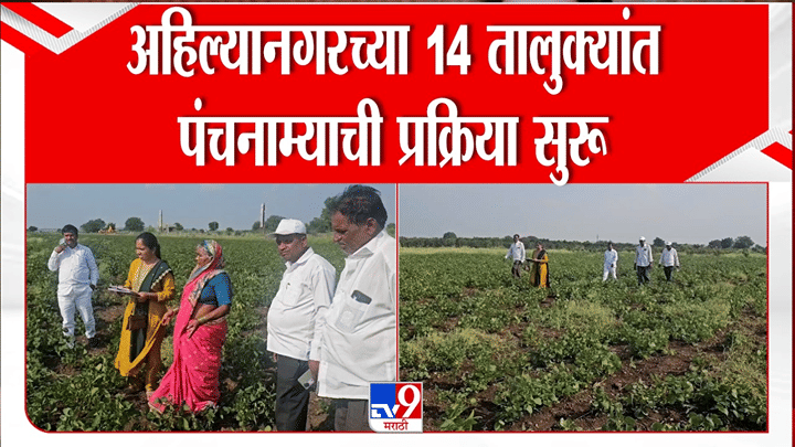 नुसताच पाऊस कमी नाही, पिकंही गेली! अहिल्यानगरच्या 14 तालुक्यांत नुकसानीचे पंचनामे सुरू नुसताच पाऊस कमी नाही, पिकंही गेली! अहिल्यानगरच्या 14 तालुक्यांत नुकसानीचे पंचनामे सुरू