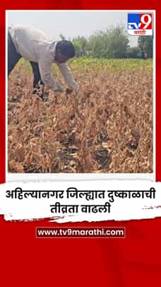 अहिल्यानगर जिल्ह्यात दुष्काळाची तीव्रता वाढली-1783598