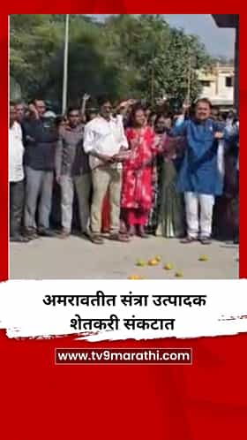 अमरावतीत संत्रा उत्पादक शेतकरी संकटात