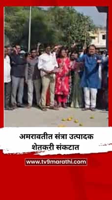 अमरावतीत संत्रा उत्पादक शेतकरी संकटात-1792323