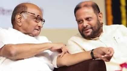 Vidhan Parishad Election Results : महायुतीची हवा गुल होताच पवार गटाच्या बड्या नेत्याचं सूचक विधान; म्हणाला, आम्ही 2029...