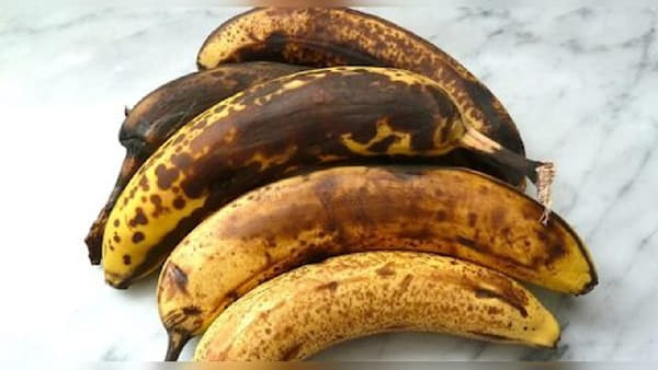 जास्त पिकलेले केळे आरोग्यासाठी फायदेशीर? संशोधनातून समोर आली नवी माहिती