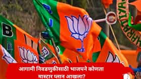 वातावरण फिरलं? तब्बल 100 आमदारांचं तिकीट कापणार, आगामी निवडणुकीसाठी भाजपचा मास्टर प्लान काय?