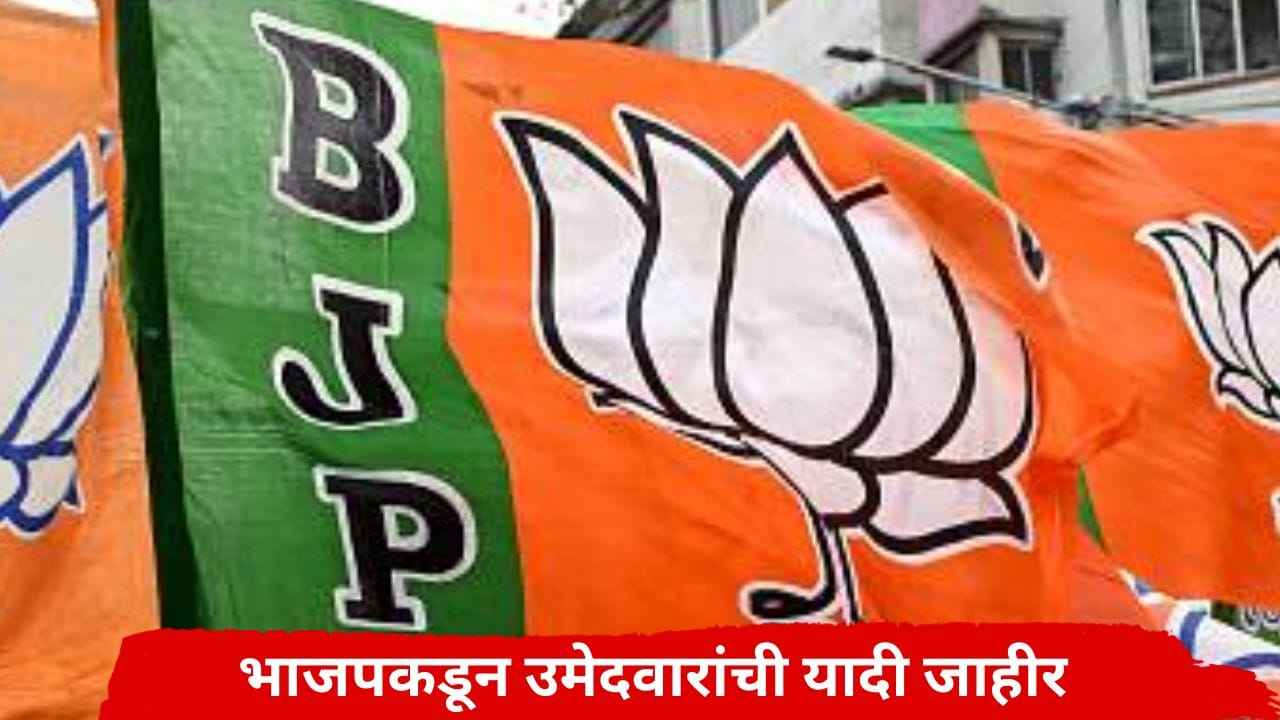 विधानपरिषदेच्या निवडणुकीसाठी भाजपचे तीन एक्के मैदानात, उमेदवारांच्या नावाची यादी जाहीर, वाचा विधानपरिषदेच्या निवडणुकीसाठी भाजपचे तीन एक्के मैदानात, उमेदवारांच्या नावाची यादी जाहीर, वाचा
