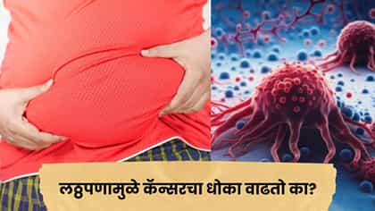 लठ्ठपणामुळे कॅन्सरचा धोका वाढतो? जाणून घ्या काय सांगतात तज्ज्ञ.